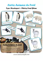 Aperçu - Apprentissages en autonomie - Cartes Montessori - Animaux du froid - Photos fond blanc - Page de couverture