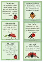 Vorschau - Text - Marienkäfer - Differenzierte Wissenskarten für Leseanfänger - Silbenschrift - Seite 2