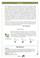 Vorschau - Arbeitsblätter - Lernwerkstatt Schildkröten | Reptilien, Schildkrötenarten, Panzer, Meeresschildkröte, Landschildkröte | Sachunterricht Biologie Grundschule Klasse 2-6 Lösungen - Seite 3