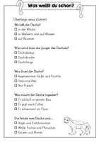 Vorschau - Arbeitsblätter - Leseverstehen üben - Der Dachs - Seite 3