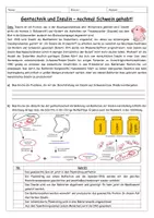 Vorschau - Arbeitsblätter - Gentechnik und Insulin – Biologie-Arbeitsblatt und Einstieg - Seite 3