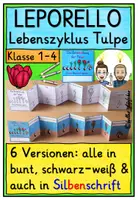 Vorschau - Arbeitsblätter - Lebenszyklus Tulpe Klasse 1 - 4 LEPORELLO - Deckblatt
