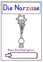 Vorschau - Arbeitsblätter - Die Narzisse / Die Osterglocke Klasse 1-4 MATERIALPAKET - Seite 2
