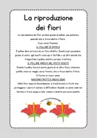 anteprima - Esercizi - Schede didattiche fiori - Pagina 3