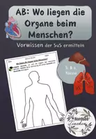 Vorschau - Arbeitsblätter - Wo liegen die Organe des Menschen, Vorwissen der SuS - Deckblatt