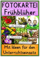Vorschau - Fördermaterial/Inklusion - Frühblüher & Speicherorgane Grundschule – Fotokartei - Deckblatt