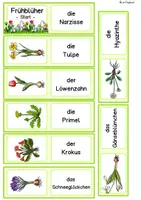 Vorschau - Stationenlernen - Lesespiel Domino Frühblüher Klasse 1, Klasse 2, DaZ - Seite 3