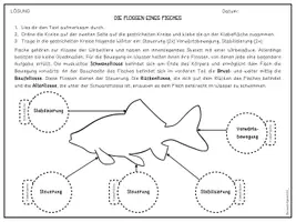 Vorschau - Arbeitsblätter - Fische - Flossen - Seite 3