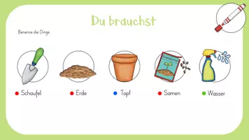 Vorschau - Präsentationen/Tafelbilder - Kresse Säen (Digitale Tafel) - Seite 3