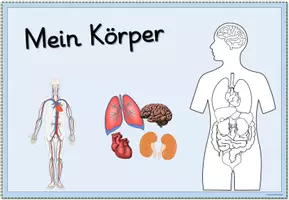 Vorschau - Poster - Themenplakat/Poster "Mein Körper" - Seite 2