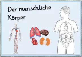 Vorschau - Poster - Themenplakat/Poster "Mein Körper" - Seite 3