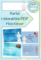 Vorschau - Poster - Wissenskartei/Abschreibkartei Mein Körper (analog und als interaktive PDF) - Deckblatt