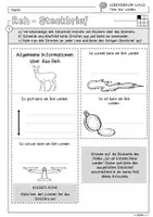 Vorschau - Arbeitsblätter - Infocube: Tiere des Waldes - Reh | Waldtiere - Seite 1
