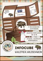 Vorschau - Arbeitsblätter - Infocube: Tiere des Waldes - Wildschwein | Waldtiere - Deckblatt