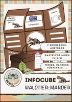 Vorschau - Arbeitsblätter - Infocube: Tiere des Waldes - Marder | Waldtiere - Deckblatt
