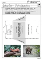 Vorschau - Arbeitsblätter - Infocube: Tiere des Waldes - Marder | Waldtiere - Seite 2