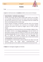 Vorschau - Arbeitsblätter - Forscherheft 5 - Der Mensch - Knochen - Deckblatt
