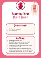 Vorschau - Arbeitsblätter - Zusatzaufträge zum Thema Körper, Karten, direkt einsetzbar - Seite 3