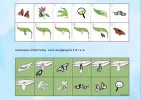 Vorschau - Stationenlernen - 🦋 Schmetterling Klettmappe schau genau Frühling Freiarbeit - Seite 1