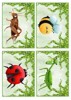 Vista previa - Juegos / Gamificación - Los Insectos (Flashcards A6) by Magia Didáctica - página 2