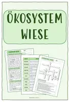 Vorschau - Arbeitsblätter - LERNTHEKE: ÖKOSYSTEM WIESE (+ Rätsel & Quiz) - Deckblatt