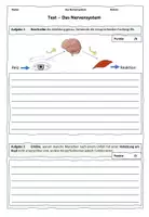 Vorschau - Test - Test Nervensystem // Funktion Gehirn, Rückenmark, Reiz-Reaktions-Schema - Seite 2