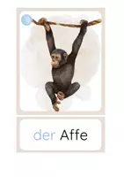 Vorschau - Fördermaterial/Inklusion - DaZ - Die Zootiere Bild- und Wortkarten - Seite 3