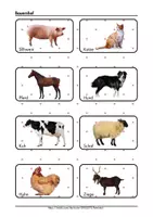 Vorschau - Spiele - Tiere Lebensräume Zuordnungsspiel Wo leben Tiere? - Seite 1
