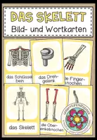 Vorschau - Bildkarten - DAS SKELETT - Bild- und Wortkarten - Deckblatt