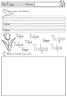 Vorschau - Stundenentwürfe - Komplettpaket Frühblüher inklusive Lernwerkstatt und Flipbook - Seite 2