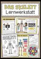Vorschau - Stundenentwürfe - DAS SKELETT - Materialpaket - Seite 1