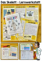 Vorschau - Stundenentwürfe - DAS SKELETT - Materialpaket - Seite 2