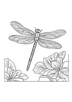 Vorschau - Arbeitsblätter - Libellen Kunst Ausmalbild Libelle Fensterbilder Mandala Bilder ausmalen - Seite 3