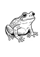 Vorschau - Arbeitsblätter - Frösche Ausmalbild Frosch Fensterbilder Mandala Bilder ausmalen - Seite 3