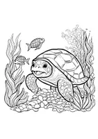 Vorschau - Arbeitsblätter - Schildkröte Ausmalbilder - Seite 3
