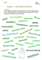 Vorschau - Arbeitsblätter - Lustiges Wortschatz-Quiz VÖGEL - Seite 3