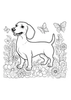 Vorschau - Arbeitsblätter - Dackel Ausmalbilder Fensterbilder Hunde Bild ausmalen - Seite 3