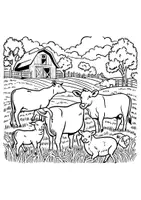 Vorschau - Arbeitsblätter - Ausmalbild Bauernhof Tiere Fensterbilder Mandala Bilder ausmalen - Seite 2