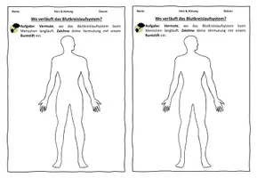Vorschau - Arbeitsblätter - Wo liegt das Blutkreislaufsystem? - Vorwissen aktivieren - Seite 1