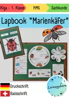 Vorschau - Merkblätter - Lapbook für den Kindergarten: Der Marienkäfer - Seite 1