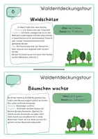 Vorschau - Anderer Materialtyp - Waldentdecker-Tour - Seite 3