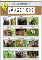Vorschau - Bildkarten - Bildkarten zum Thema Säugetiere - Deckblatt