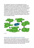 Vorschau - Arbeitsblätter - KIquests: Methodenbeschreibung für effektives Lernen mit Künstlicher Intelligenz - Seite 3
