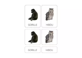 Aperçu - Cartes / Images - carte de nomenclature animaux - Page 3
