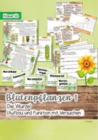 Vorschau - Stundenentwürfe - Aufbau von Blütenpflanzen / Die Wurzel / Pflanzenwurzel - Seite 1