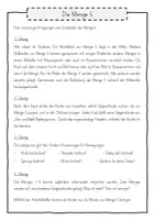 Vorschau - Arbeitsblätter - Die Zahl 5 (1. Klasse und Vorschule) - Seite 1