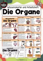 Vorschau - Stationenlernen - Unsere Organe - Wissenskartei + Arbeitsheft - Deckblatt