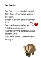Vorschau - Text - Lesetexte zum Thema Tiere im Wald 1./2. Klasse - Seite 1