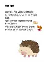 Vorschau - Text - Lesetexte zum Thema Tiere im Wald 1./2. Klasse - Seite 2
