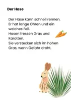 Vorschau - Text - Lesetexte zum Thema Tiere im Wald 1./2. Klasse - Seite 3
